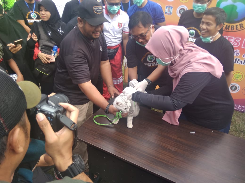 1100 Vaksin Rabies Disiapkan Gratis, Wali Kota Saksikan Penyuntikan Vaksin 