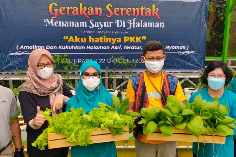 TP-PKK Bagikan Bibit untuk Kelurahan dan Ajak Masyarakat Tanam Sayur di Halaman