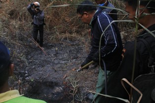 Hutan Terbakar, Wali Kota Ikut Padamkan Api